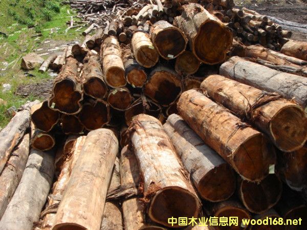 M(jn)ڴ~˼R(li)˼ľԭľ