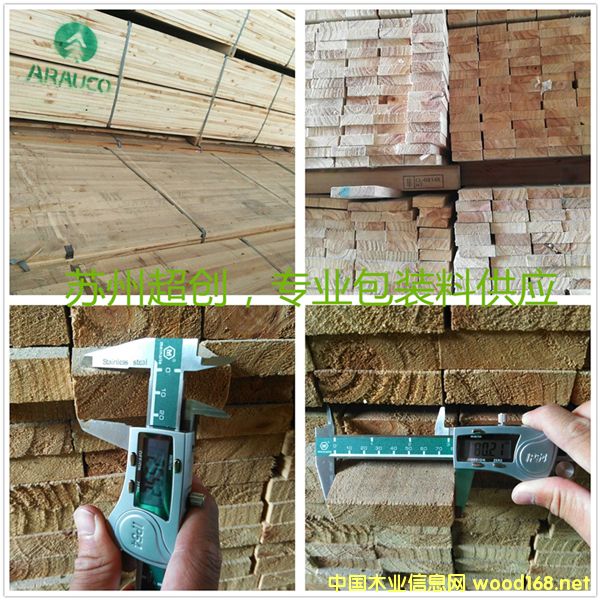 [] Araucoݗ24*80