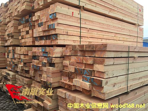 ϺɽľS  ľăr(ji)