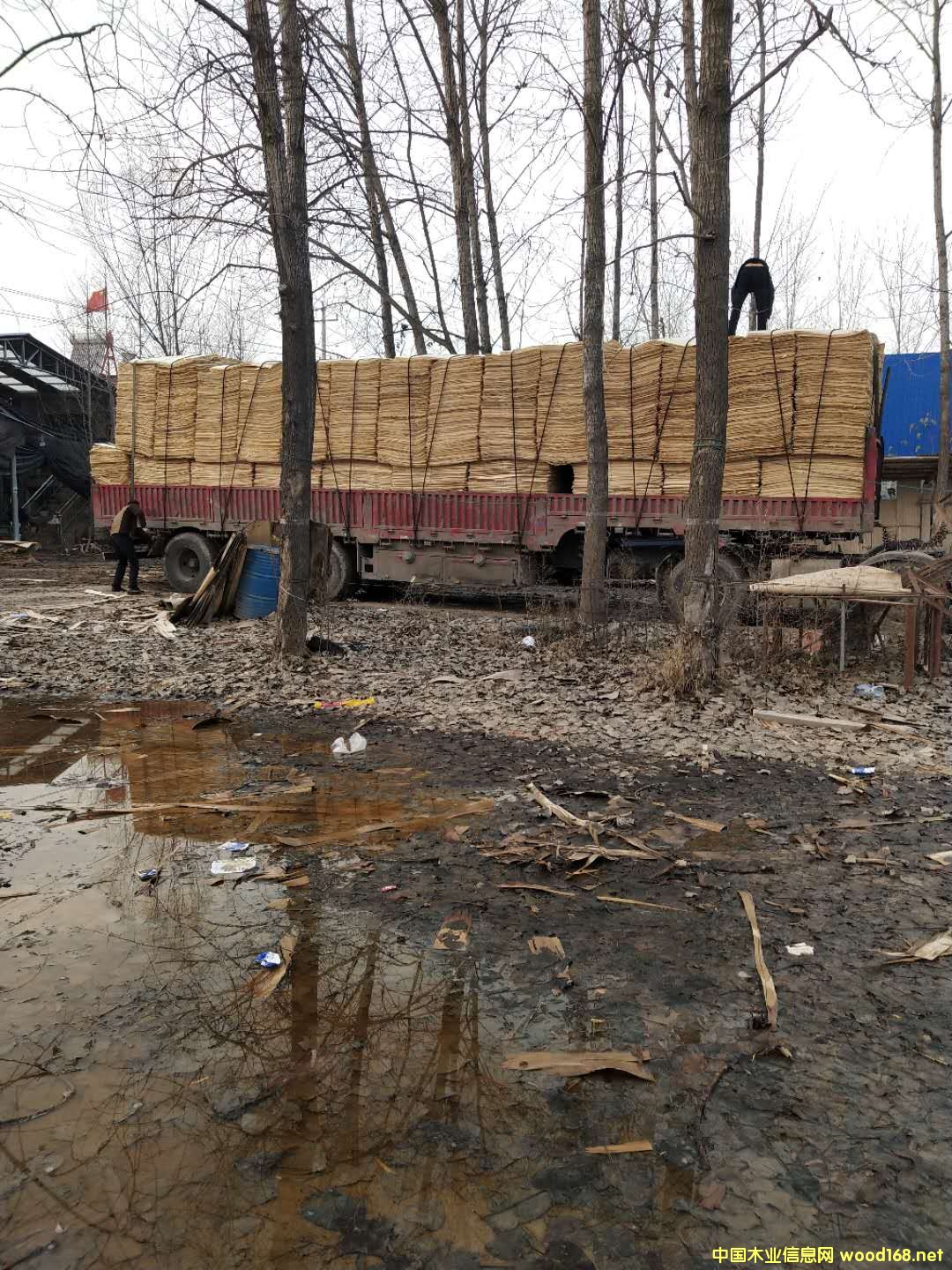 板材的詳細(xì)介紹