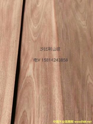 (yu)|(zh)ȻɳɽyľƤ