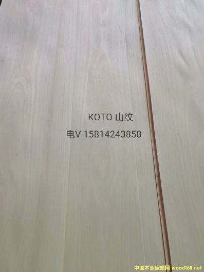 (yu)|(zh)ȻKotoɽyľƤ