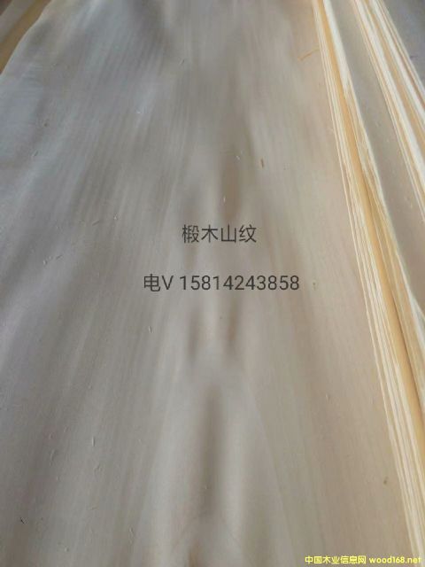 (yu)|(zh)ȻľɽyľƤ