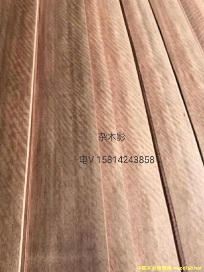 (yu)|(zh)ȻsľӰľƤ