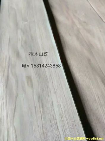 (yu)|(zh)ȻľɽyľƤ