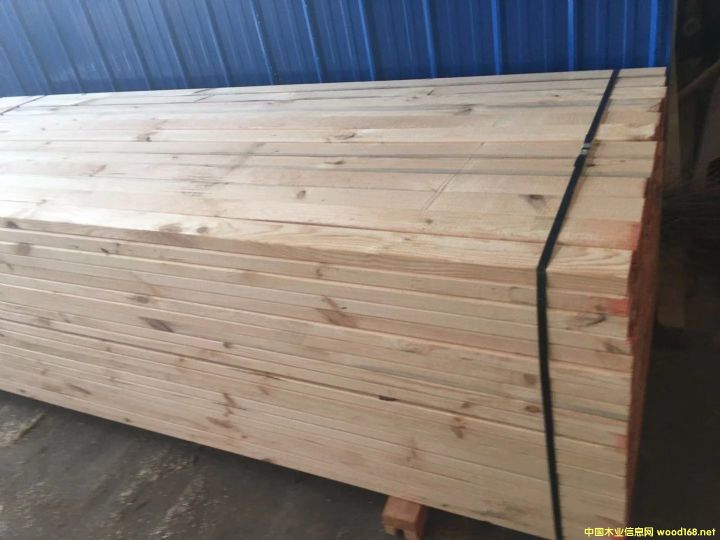 SֱN(xio)ľľľŽb