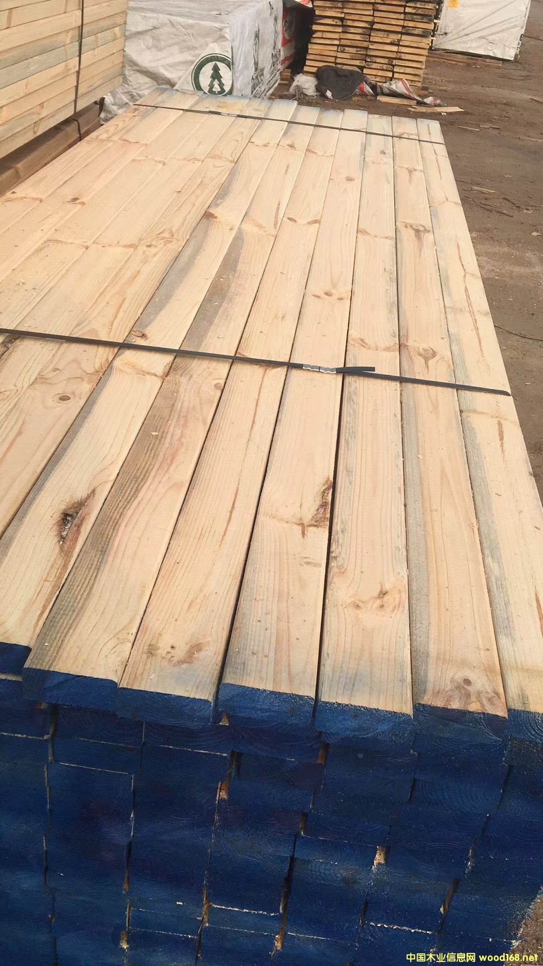 S(chng)ֱN(xio)ľľľӡŽbĵԔ(x)B