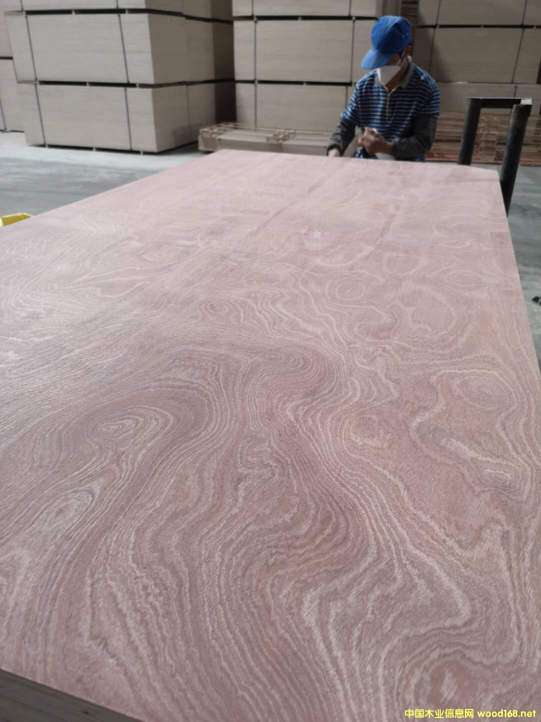 板材的詳細(xì)介紹