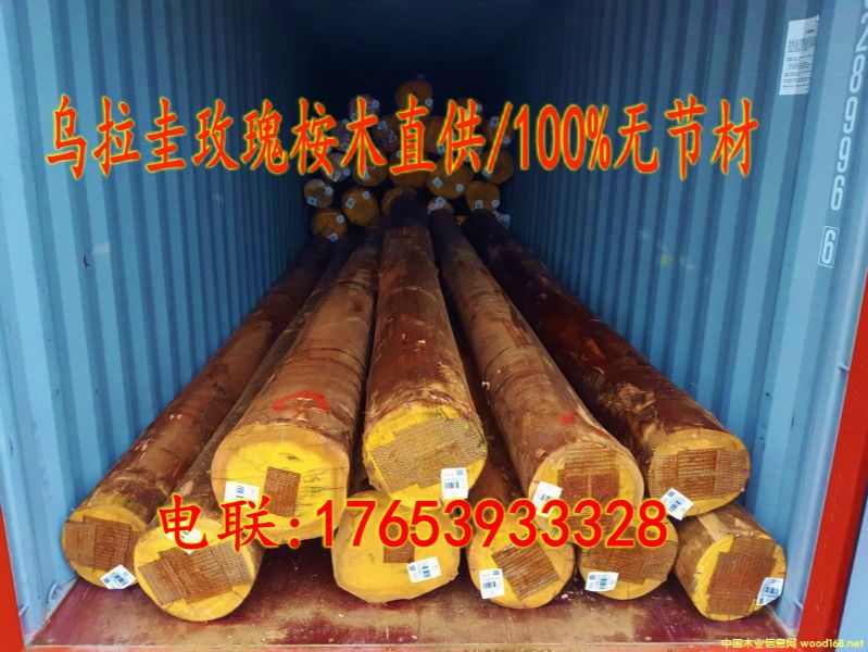 M(jn)ڟo(ji)õľԭľԔ(x)B