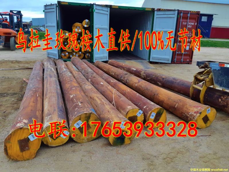 M(jn)õľԭľ/100%o(ji)ĵԔ(x)B