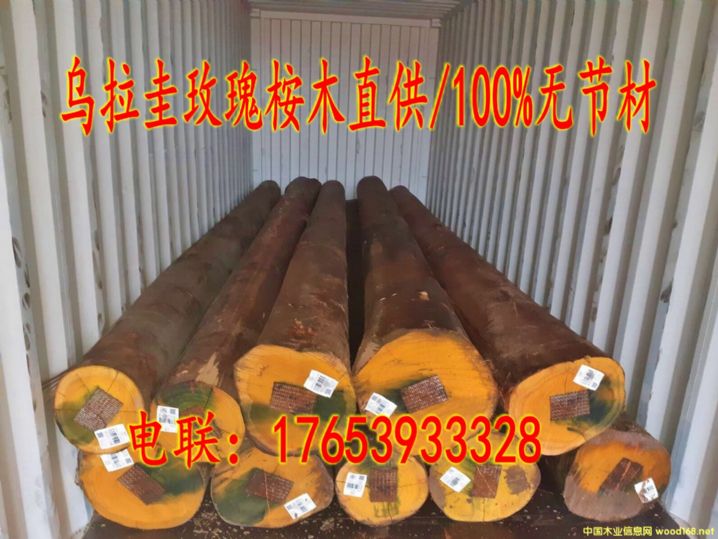 M(jn)ڞľԭľ/oY(ji)(ji)Ԕ(x)B