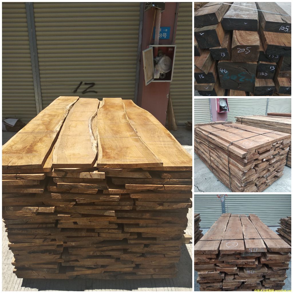 [] L(zhng)ڹ(yng)̴ɰ