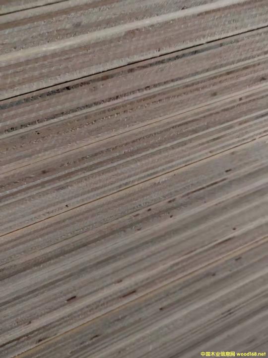 的詳細(xì)介紹