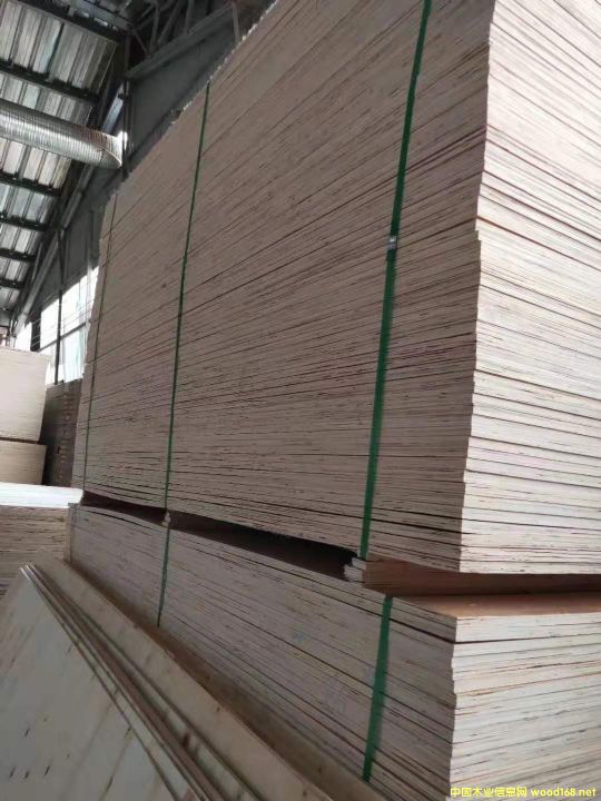 的詳細(xì)介紹