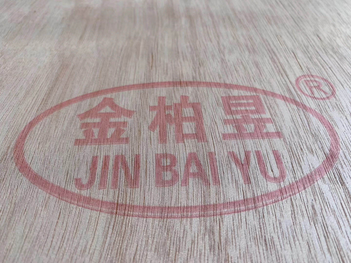 的詳細(xì)介紹