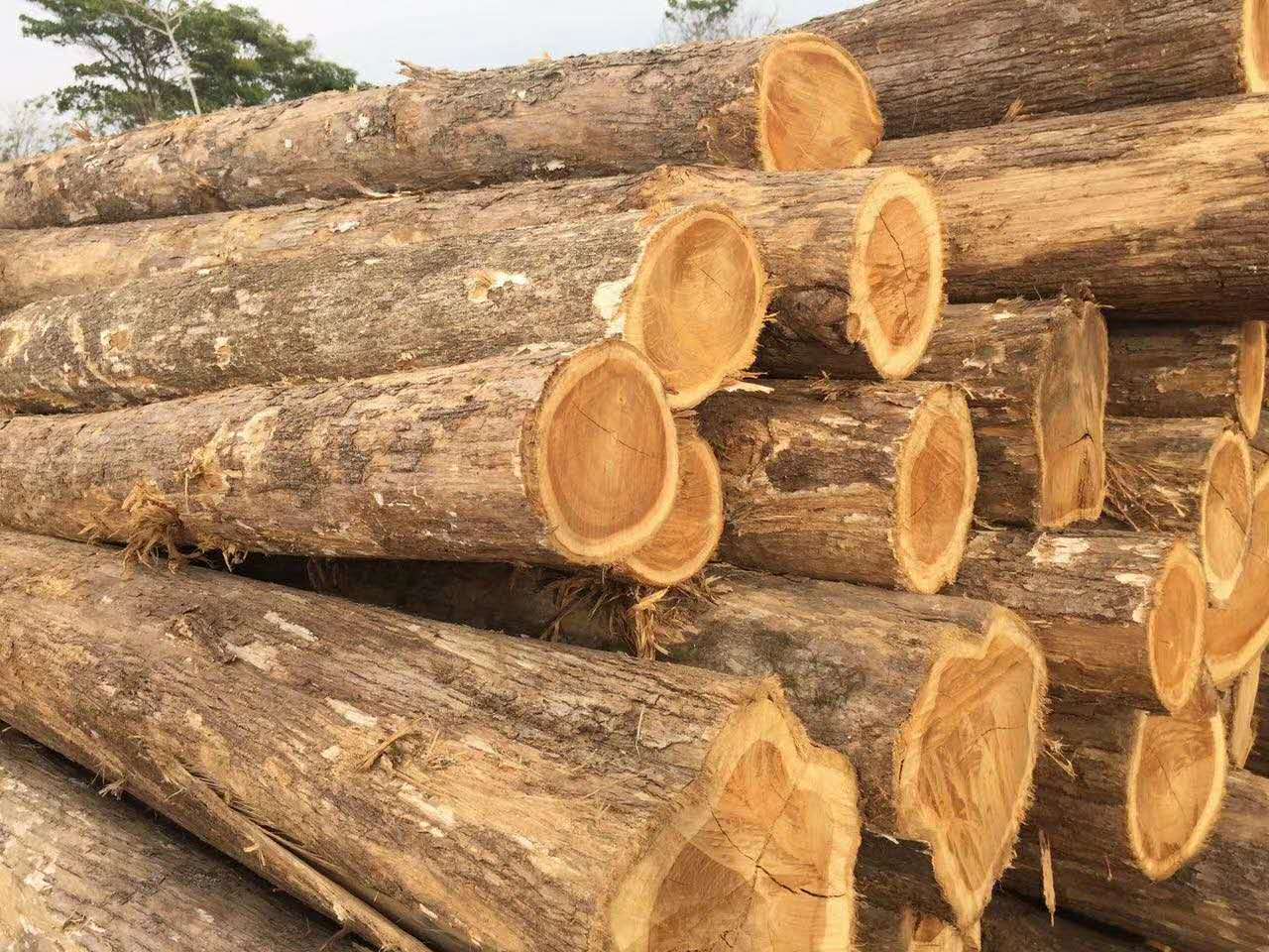 c(din)鿴ľСľԭľŴDƬ