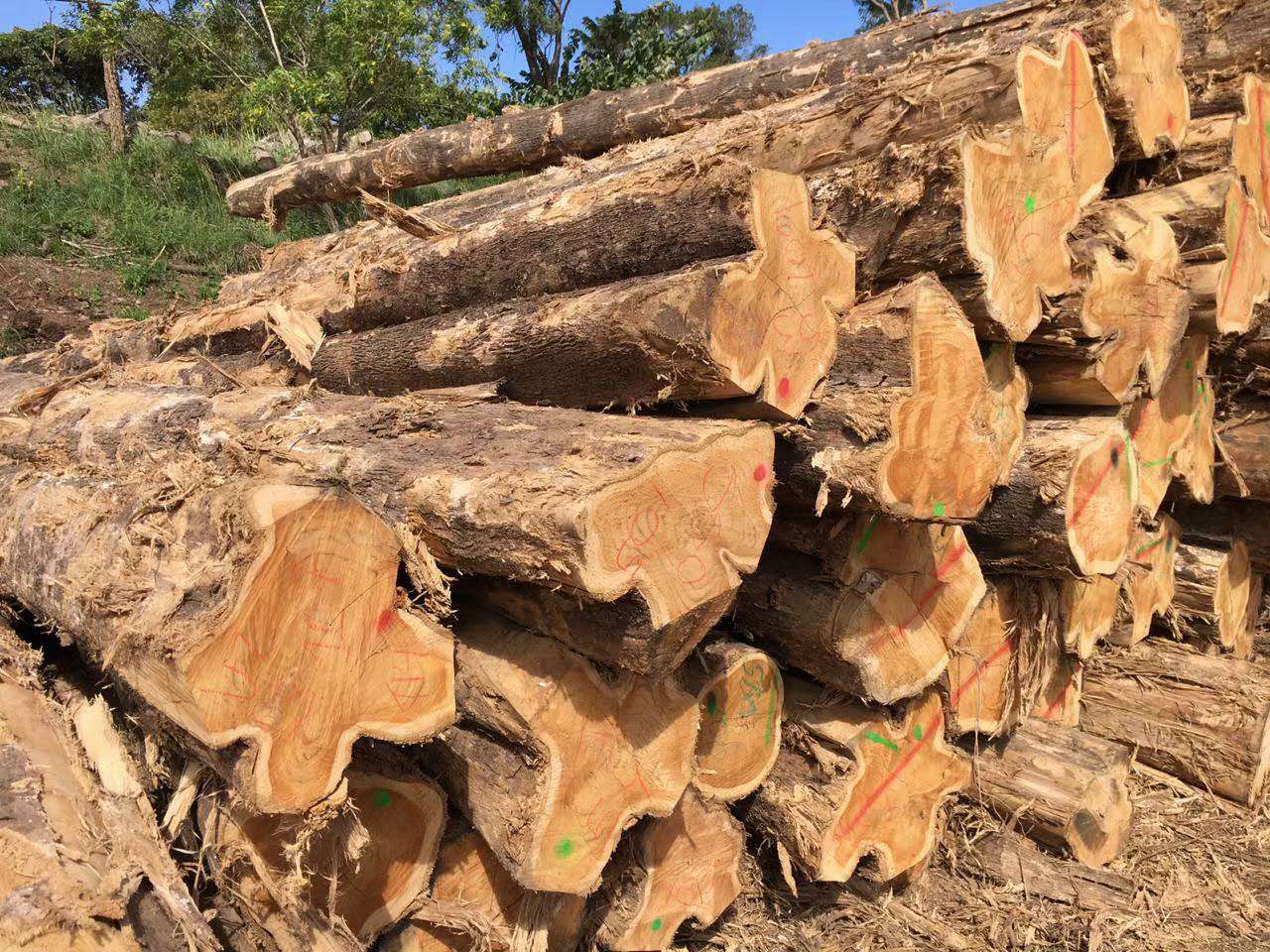 c(din)鿴ľСľԭľŴDƬ