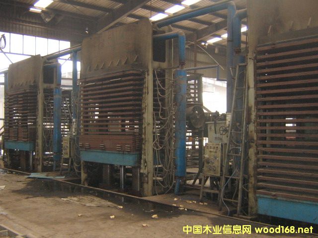 20的詳細(xì)介紹