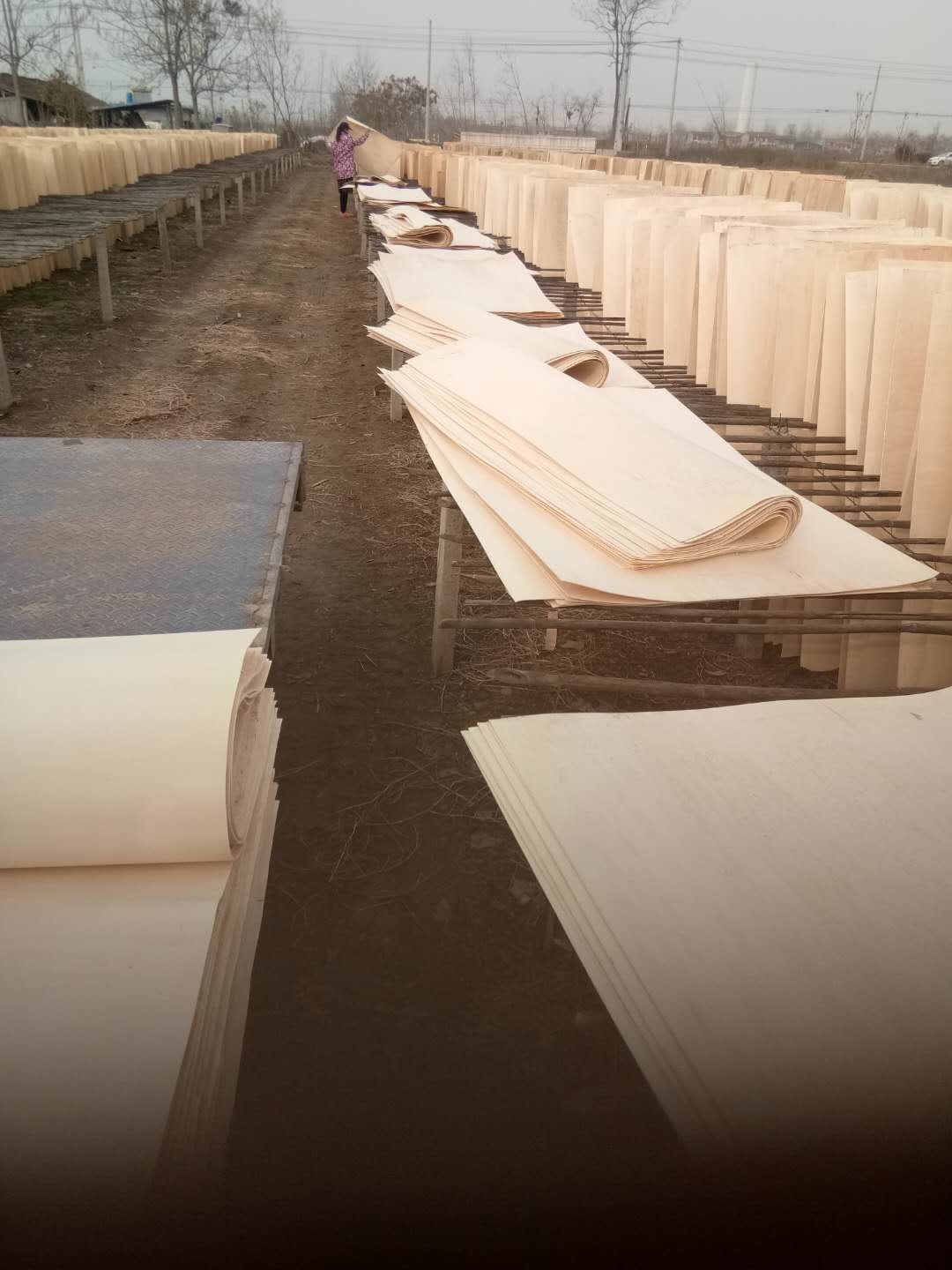 的詳細(xì)介紹