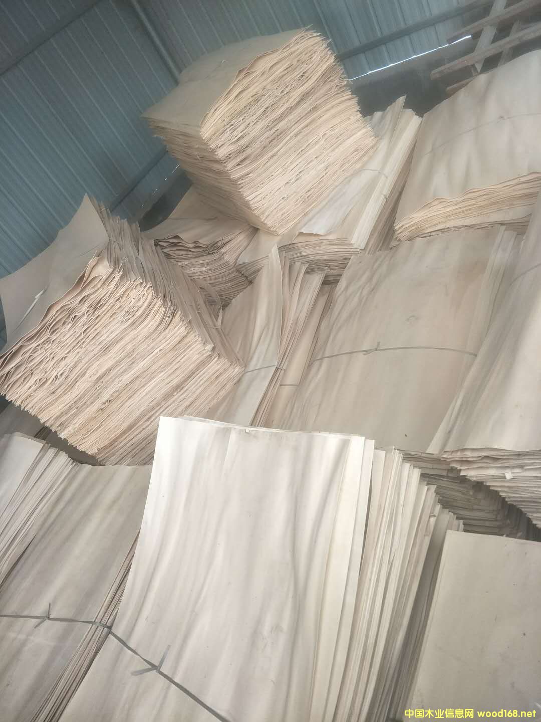 純白的詳細介紹