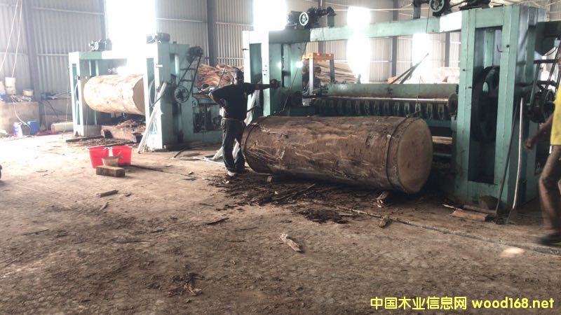 的詳細(xì)介紹