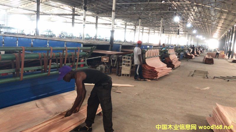 的詳細(xì)介紹