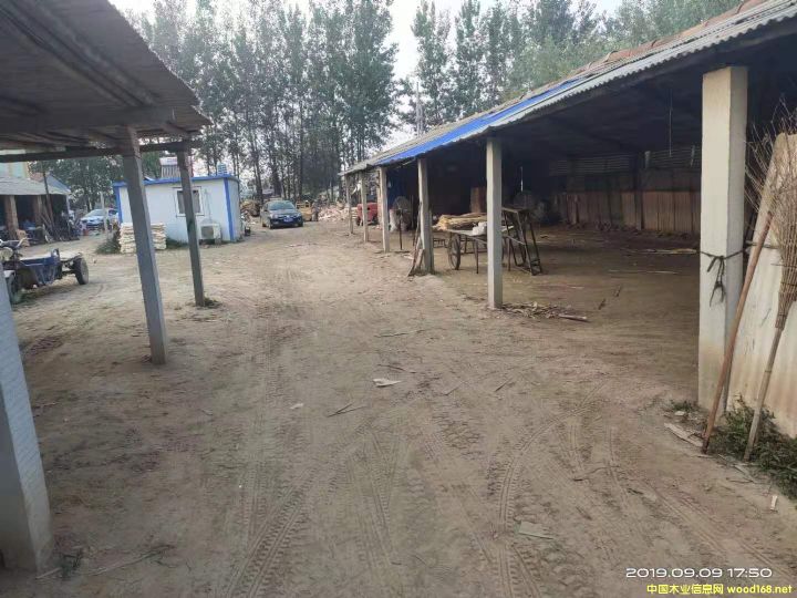 楊木皮的詳細(xì)介紹