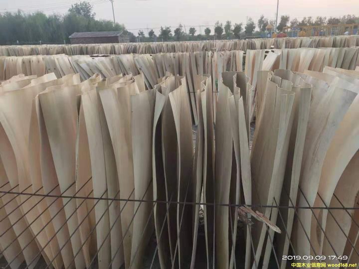 楊木皮的詳細(xì)介紹