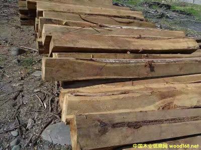 [] (yng)M(jn)˼ľԭľ~˼ľACACIA