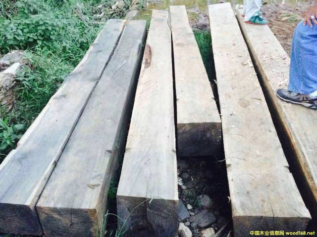 [] (yng)ϚgACACIAԭľM(jn)˼ľԭľ̻ľľ