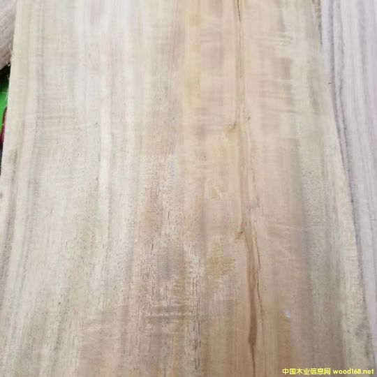 [] Mڴ~˼ľACACIA˼ľԭľ