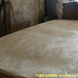 的詳細(xì)介紹