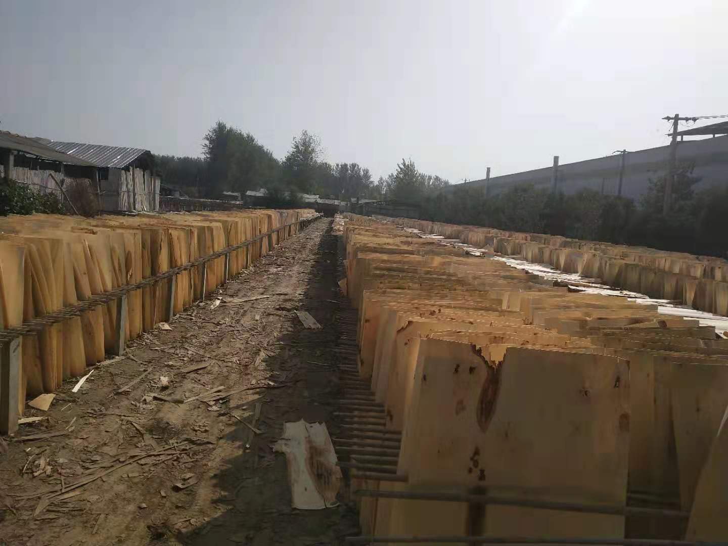 的詳細(xì)介紹