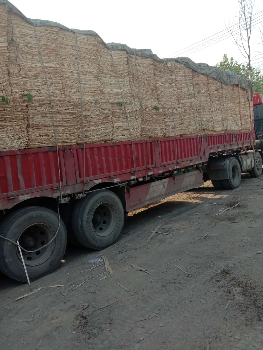 的詳細(xì)介紹