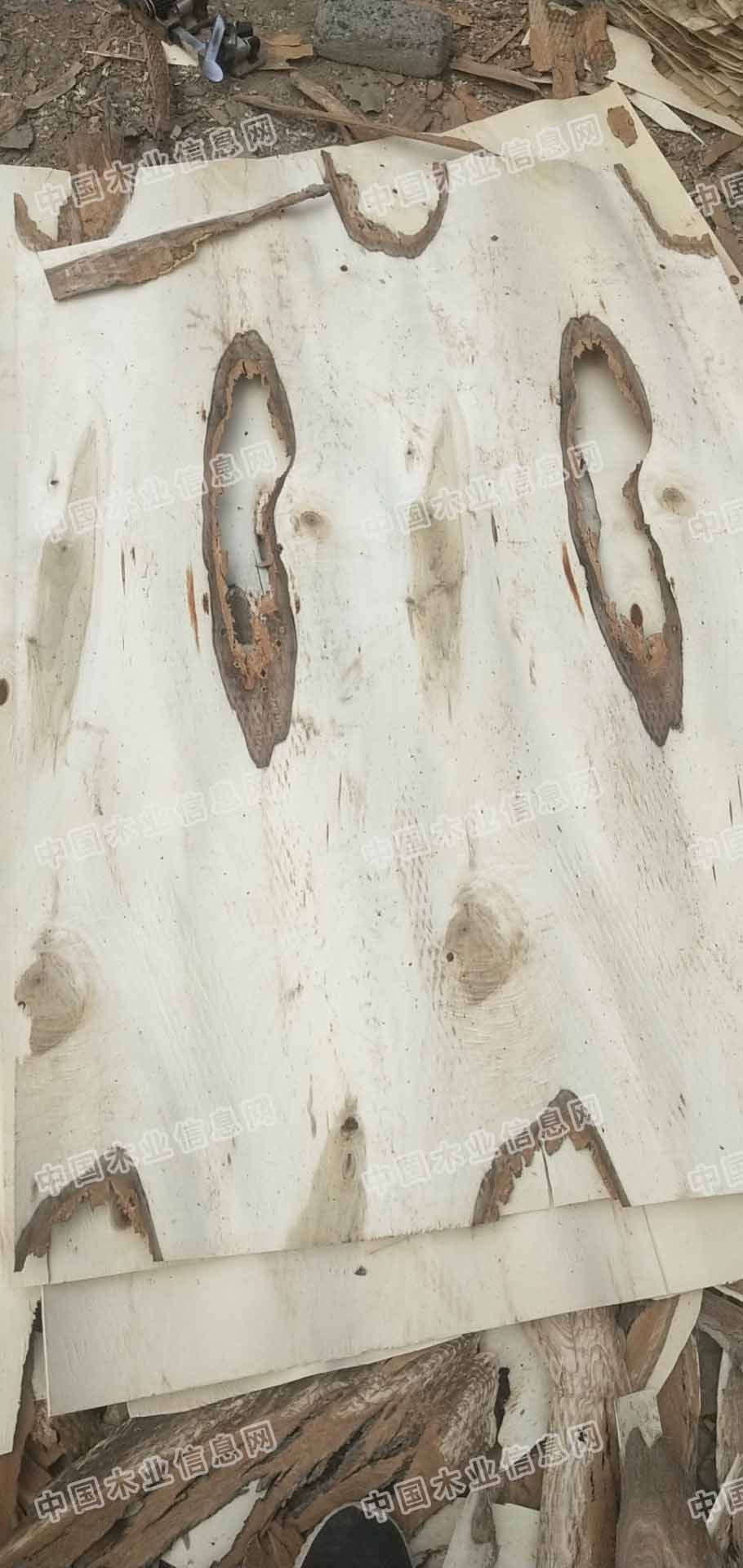 的詳細(xì)介紹