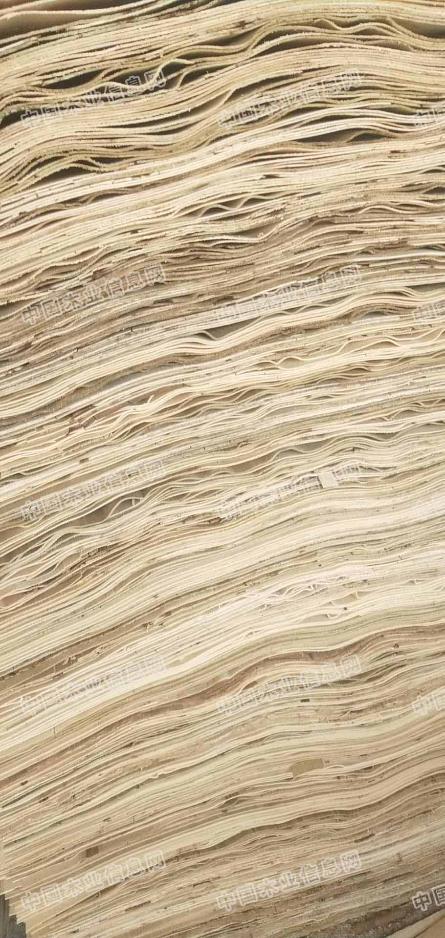 的詳細(xì)介紹