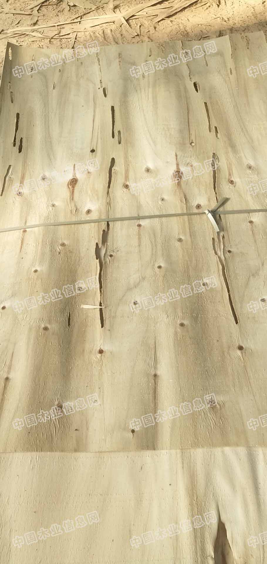 的詳細(xì)介紹