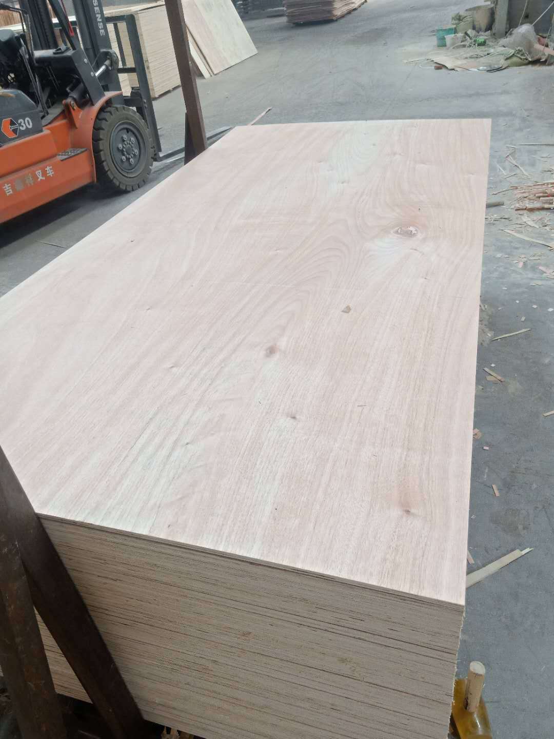 的詳細(xì)介紹