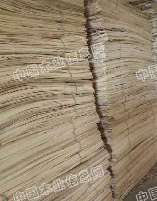 的詳細(xì)介紹