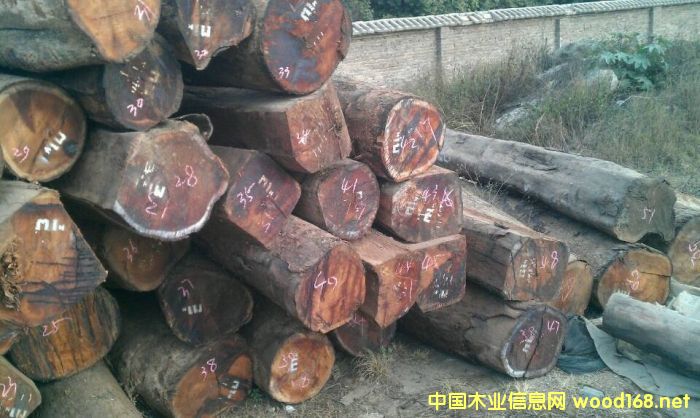 ϓ룬կԽ^m(x)Pt֦ԭĴM