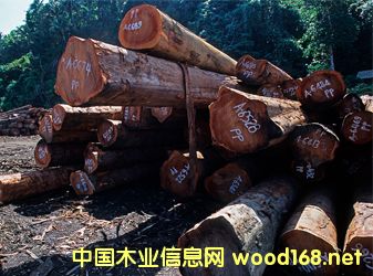 uЈĲtľָ(sh)յ0.71%