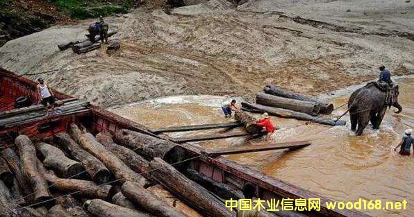 ľĳڇ(yn)صĮ(dng)£ϓǷ(hu)ɞ