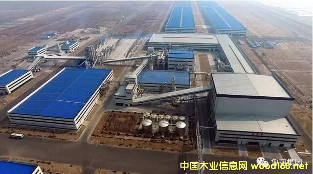 ľI(y)B(ti)a(chn)I(y)@