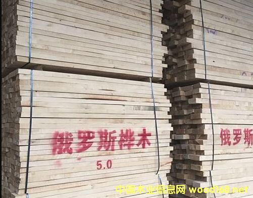 |ݸLľI(y)ڶ_˹O(sh)2(g)ľļӹS ӹ^10f