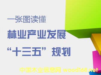 11ί(lin)ϰl(f)֘I(y)a(chn)I(y)l(f)չʮ塱Ҏ(gu)