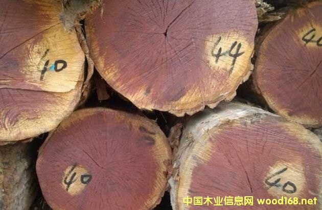 ľİٿƣ鶼˹һľͷeһľą^(q)e