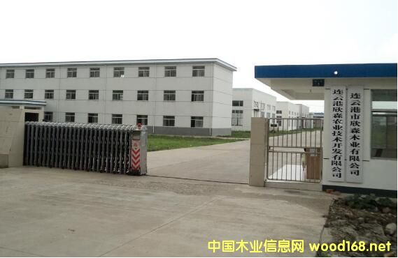 BƸɭľI(y)̓Y3000f ˺͸ppz