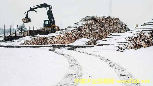 ߅푵һӋôMľ20%P(gun)