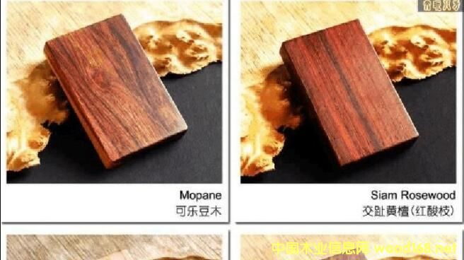 ڰM(jn)ԭľ(sh)F(xin)l(f)L(zhng) Fԭľ