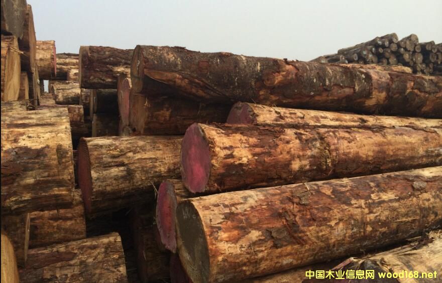 (yu)|(zh)o{(ln)׃ݗɎ漱_؛ģʽ